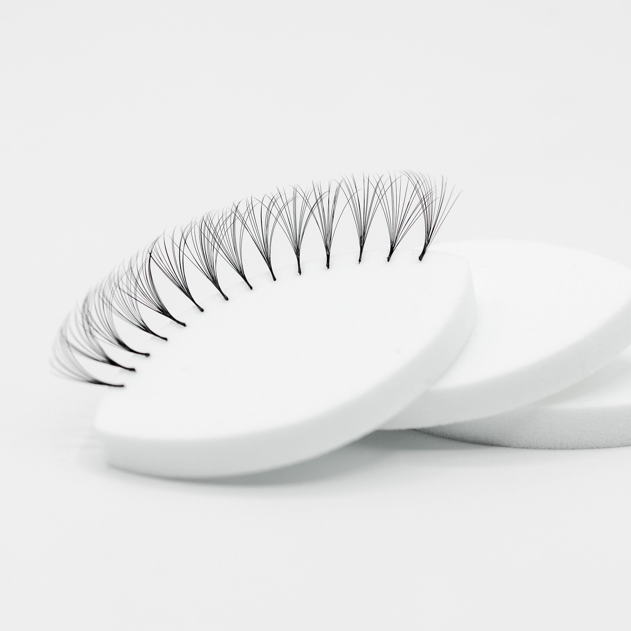 Eyelid Shape Practice Sponges – Elluxor Lash